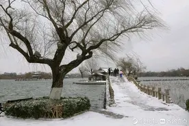 飞雪迎春|大美济南，银装素裹，北国风光无限好图片