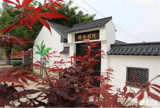 潮玩棘洪滩 夏日文旅活力澎湃