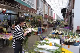鲜花寄哀思，哪些花最合适→图片