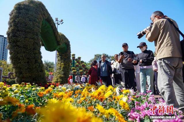黑龙江哈尔滨：7万盆菊花打造秋日盛宴