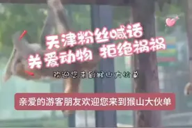 “关爱动物，拒绝祸祸！” 天津粉丝猴山喊话火了！图片