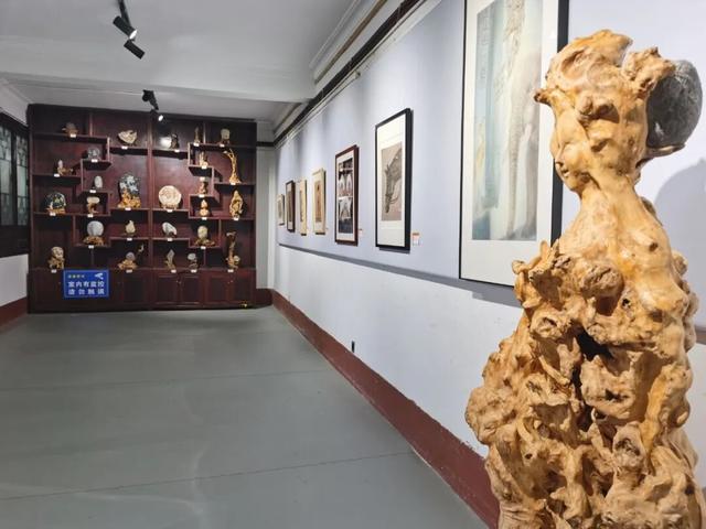 青睐绵阳 ‖ 一城秋色，菊香满园，游仙区富乐山十万香阵花正浓！