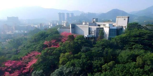 广东红色旅游季，追随“东纵”热血足迹串联湾区文旅