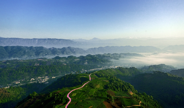 超全游玩攻略 | 国庆中秋双节来名山，这篇一定要收藏！