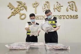 热闻|男子裤子里竟然藏了104条活体蛇，试图入境！网友惊呼：欧阳锋都不敢带这么多图片