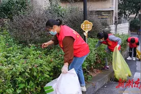 【聚力＂一迎三创＂ 提升城市品质】鹤城区中坡社区：志愿服务进社区 迎接“一迎三创”图片