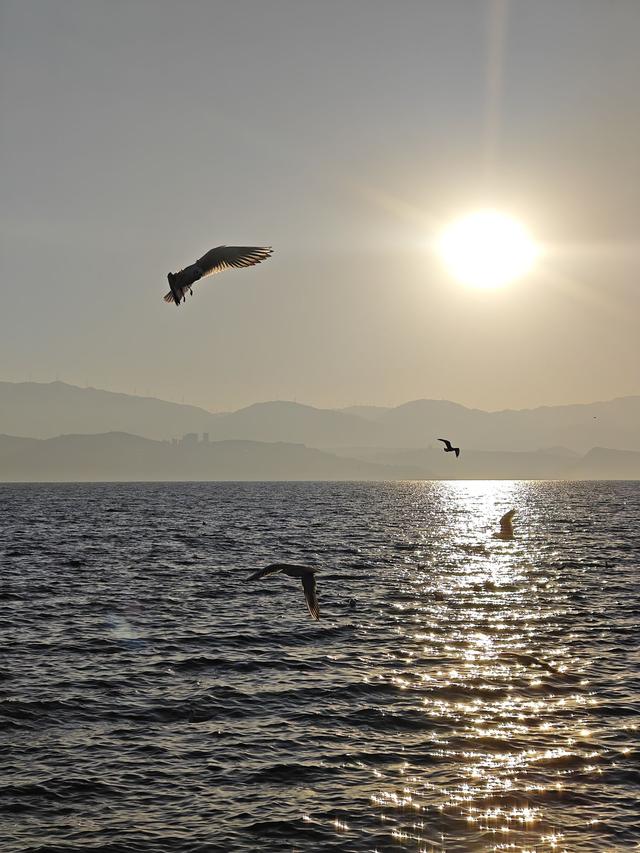 看日出、追红嘴鸥、拍婚纱……总要去一次大理龙龛码头吧！