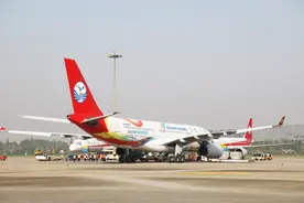 体育丨首架“成都世运号”主题涂装飞机亮相成都双流国际机场图片