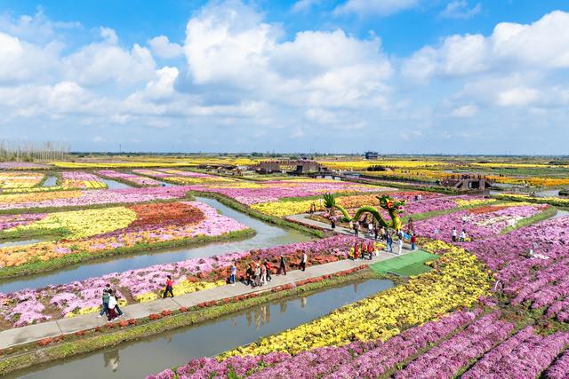 秋声渐杳 斑斓成诗#