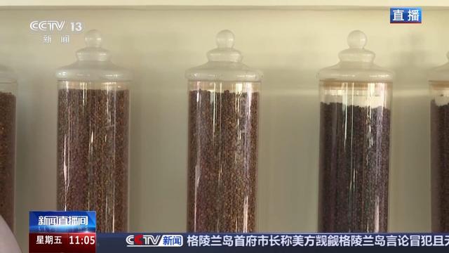 “十五五”开好局 起好步丨“咖啡+”文化体验地 从一粒咖啡豆看政策新变化