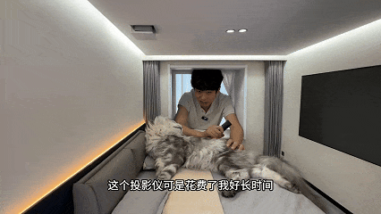 博主为猫咪打造专属地铁，网友：以为是AI，结果是手作？