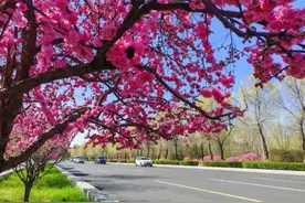 爆赞！呼和浩特 生态上了新Buff！图片