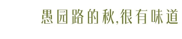 上海最美不过愚园路