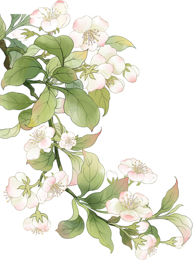 何须远行？亭林就藏着一条宝藏路线…