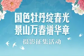 国色牡丹绽春光！快来景山公园定格您眼中的繁花盛景图片