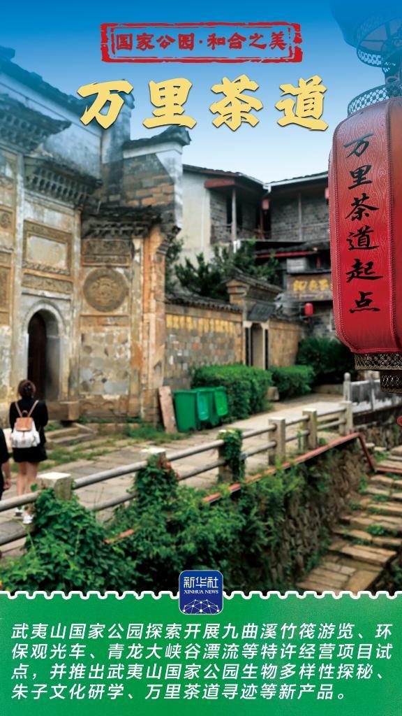 和合之美丨武夷山国家公园：“会呼吸”的诗意乐园