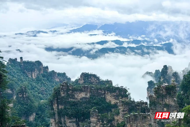 张家界国家森林公园雨后奇景：水墨丹青画中游