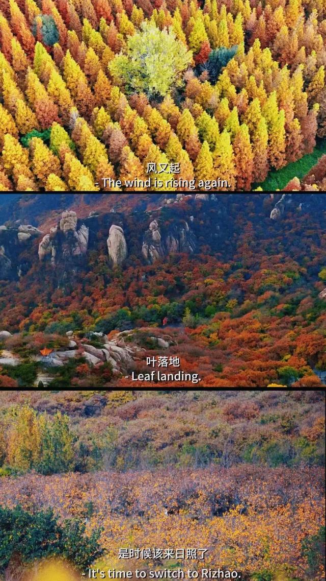 日照色彩派对开启！“美拉德”风景正当时！