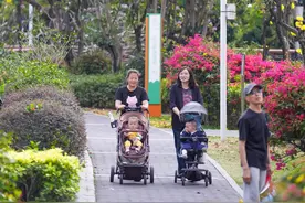 黄的红的粉的紫的白的！在深圳走花路，超出片！美图暴击预警图片