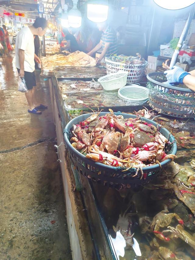 山东烟台开海迎来“海鲜狂欢”
