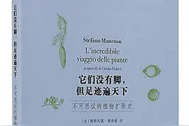 读懂植物的智慧图片