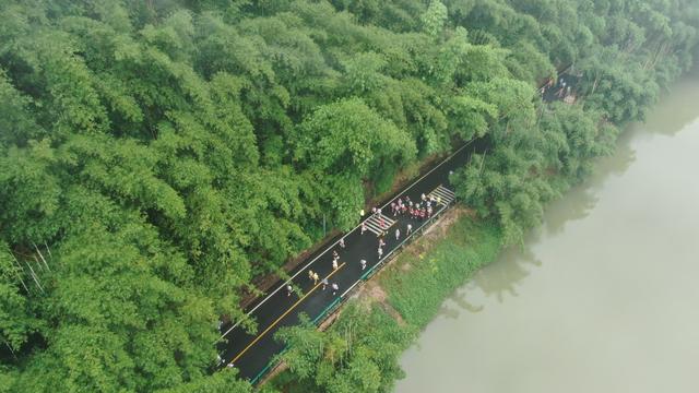 中国的环保行动促进竹文化传承