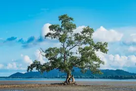 新南洋史——史话式书写的再兴图片