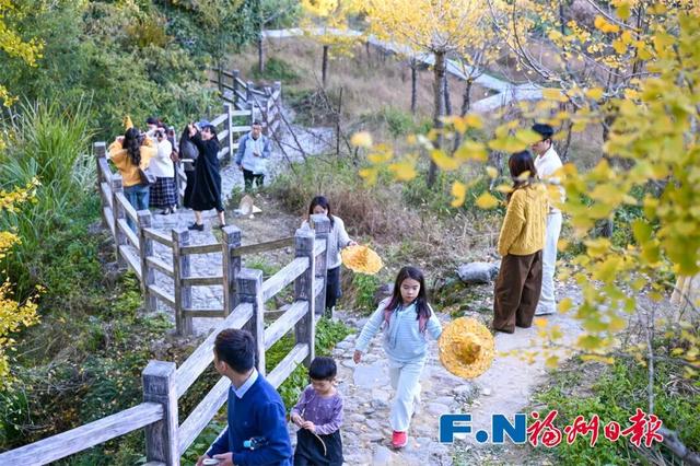 惊艳上线！福州这里变身“黄金村”！还有人靠它悄悄赚钱……