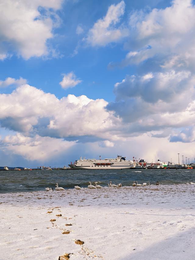 冬游威海 情满山海丨威海“山海共白头”独特美景引发网友分享热潮