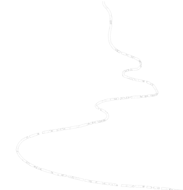 陵水过冬指南：除了晒太阳，还能这么玩！