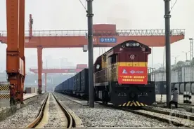 首趟！渝穗海铁联运“冷链专列”让巴西冻牛肉鲜至重庆图片