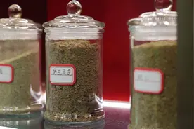 “养生”餐厅丨药膳风潮下的健康新选择图片