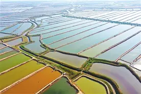 上半年中国海水养殖产量同比增长超5% 进口海鲜采购链路畅通图片