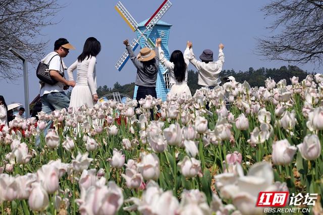 【赴春之约】郁见浪漫：长沙园林生态园的春日视觉盛宴