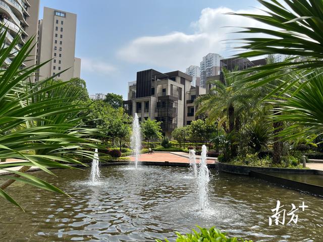 优化物管服务有妙招，中山多方共建“美好家园”