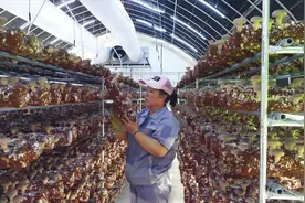 双塔食品获批承担两项山东省重点研发计划项目图片