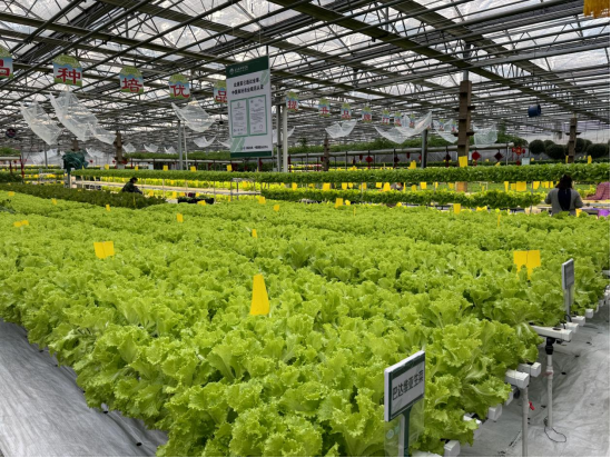 挖到新彩蛋！这处4A级景区玩法超多→