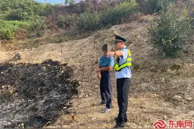 公路用地开荒种植？违法！图片