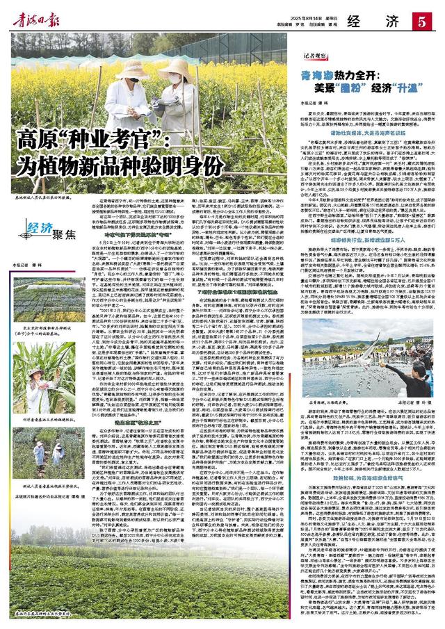 青海游热力全开： 美景“圈粉” 经济“升温” 本报记者 谭 梅
