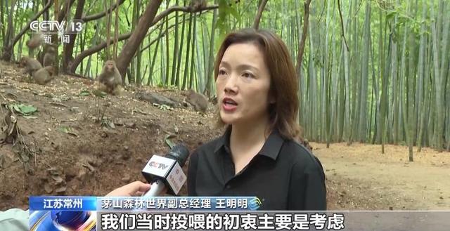 江苏一景区“月均6万元收编泼猴”引关注 “人猴冲突”如何解决？