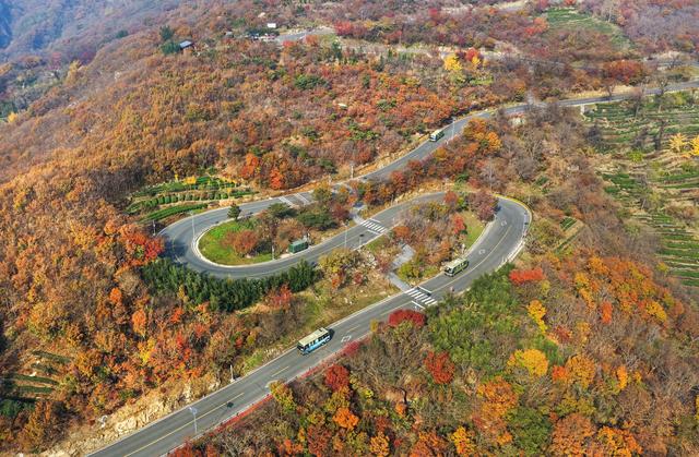 裁取冬色入画框#(2)