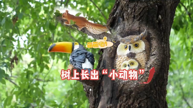 北京号最精彩 | 好吃好玩好拍！京城这个夜市每天都开