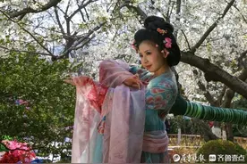 春暖花开佳人来，姑娘穿汉服五龙潭赏樱花，太美了图片