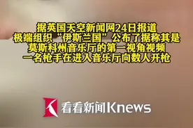“伊斯兰国”发布袭击者第一视角视频图片