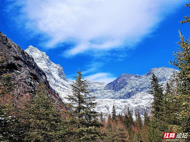 听，雪落下的声音！这里是四姑娘山的冬天