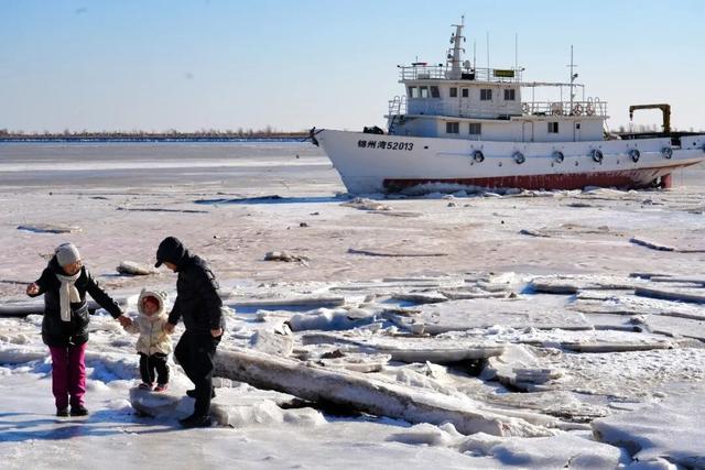 冬日里的限定美景 锦州湾再现海冰奇观