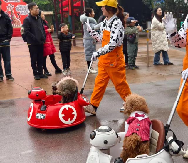 亲~~免费游乐和乐都的机会来了！