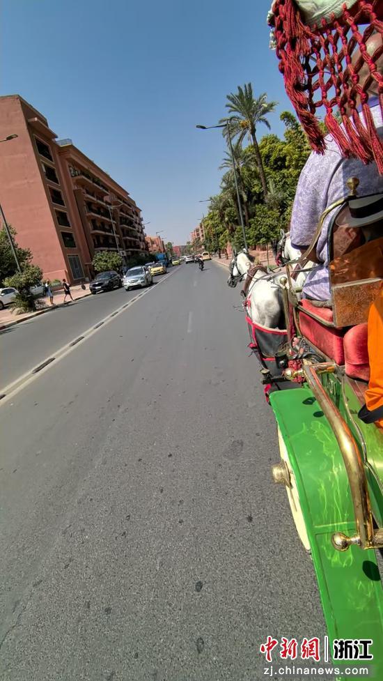 赭红与钴蓝：一座城的灵魂栖居