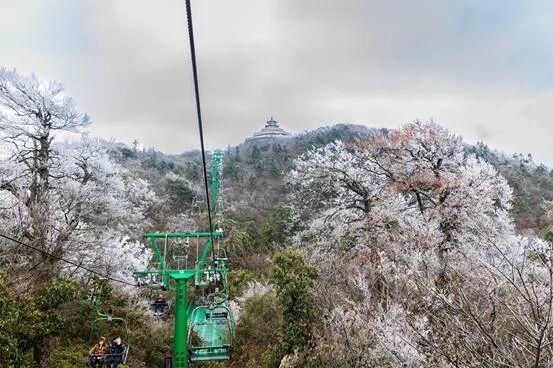 一眼心动！雾凇，山巅的“冰雪派对”