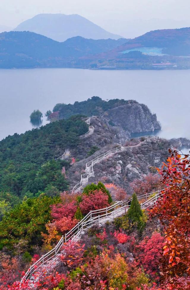 绝美！今秋，就去北京这些登山步道赏红叶！
